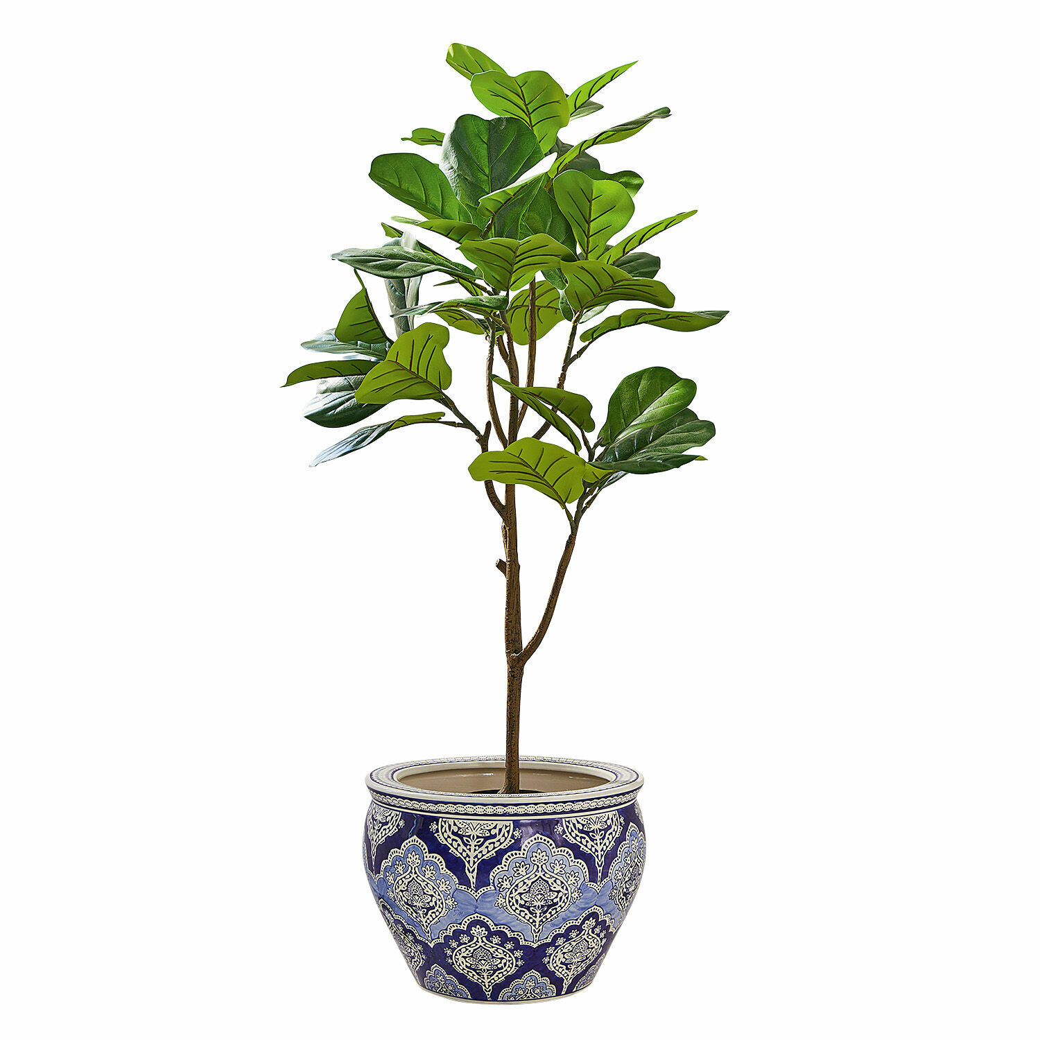 Deko-Topfpflanze Evolet