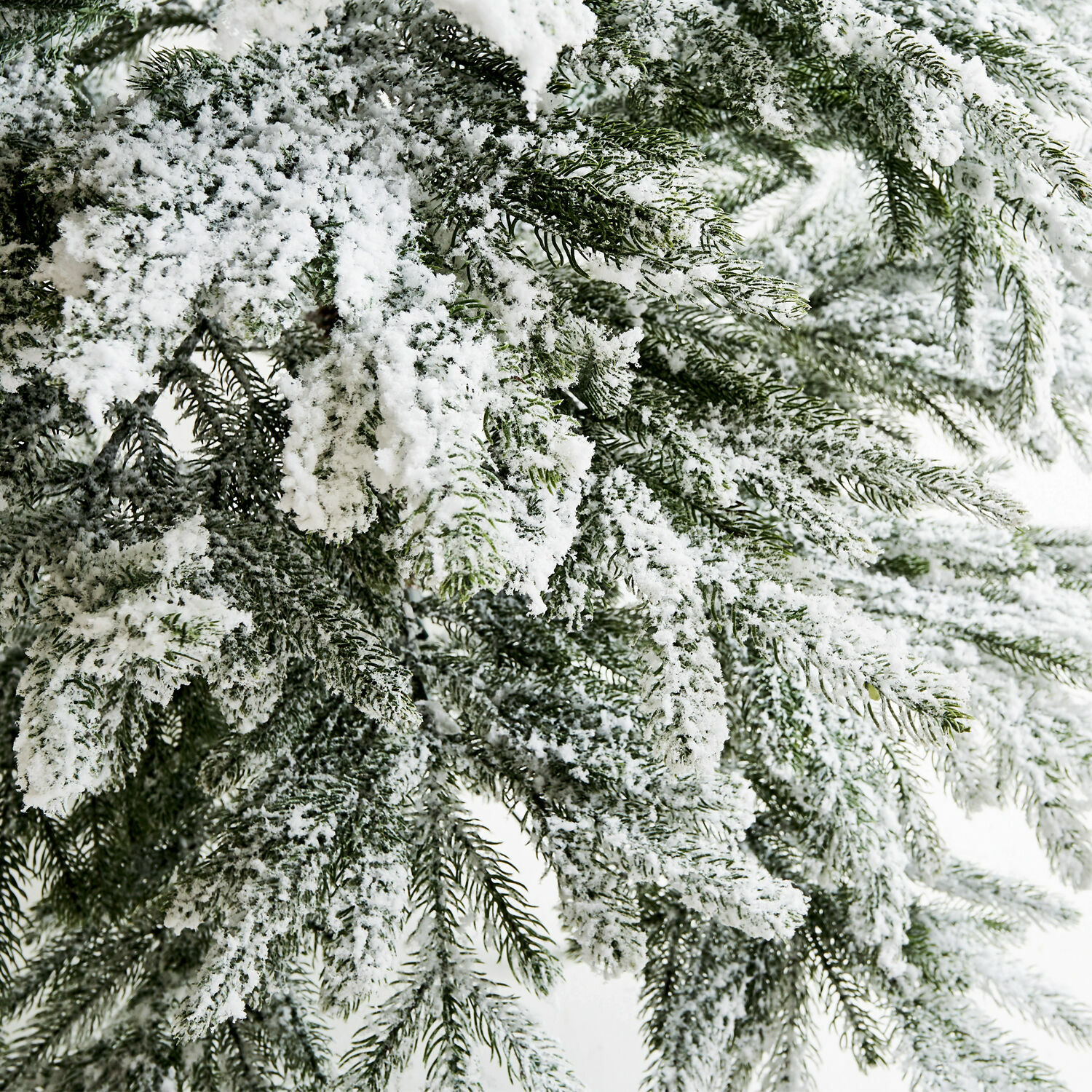 Weihnachtsbaum Lokossa