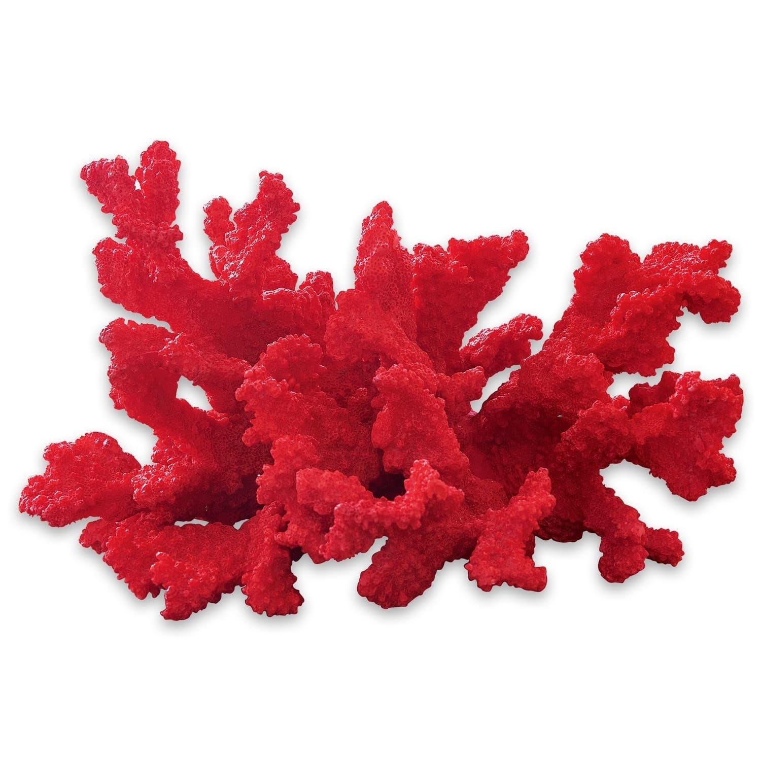 Deko-Koralle Reddish